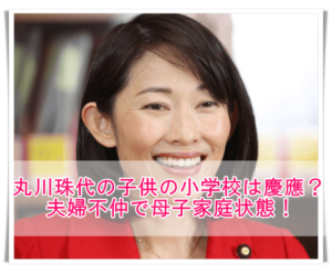 丸川珠代の子供の小学校は慶應 名前や年齢は 夫婦別居で母子家庭状態 Media Tour